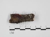 登錄號:F0027634藏品圖，第1張