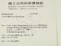 登錄號:F0027635藏品圖，第2張