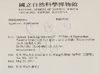 登錄號:F0027636藏品圖，第2張
