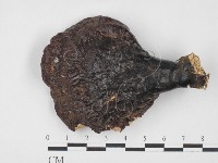 登錄號:F0027638藏品圖，第1張