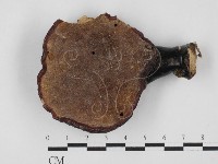 登錄號:F0027638藏品圖，第3張