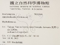 登錄號:F0027639藏品圖，第2張