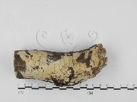 登錄號:F0027639藏品圖，第3張