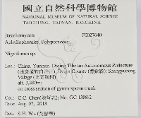 登錄號:F0027640藏品圖，第2張