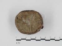 登錄號:F0027640藏品圖，第3張