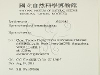 刺革菌屬藏品圖，第2張