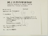 附毛菌屬藏品圖，第2張