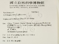 登錄號:F0027644藏品圖，第2張