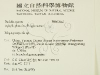 登錄號:F0027645藏品圖，第2張