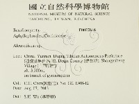 盤革菌屬藏品圖，第2張