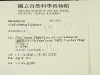 盤革菌屬藏品圖，第2張