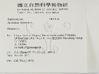 韌革菌屬藏品圖，第2張