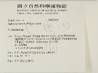附毛菌屬藏品圖，第2張