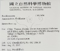 刺皮菌屬藏品圖，第2張