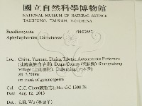 登錄號:F0027657藏品圖，第2張
