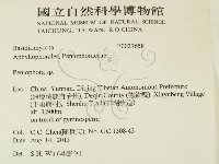 筍殼菌屬藏品圖，第2張