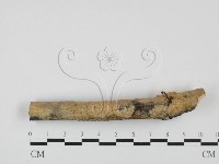 登錄號:F0027660藏品圖，第1張