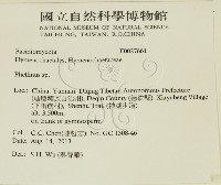 木層孔菌屬藏品圖，第2張