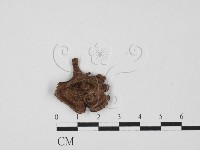 登錄號:F0027663藏品圖，第1張