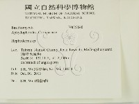 絲皮菌屬藏品圖，第2張