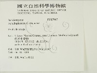 絲皮菌屬藏品圖，第2張