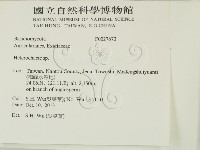 刺皮菌屬藏品圖，第2張