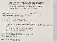 登錄號:F0027671藏品圖，第2張