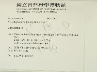 靈芝屬藏品圖，第2張