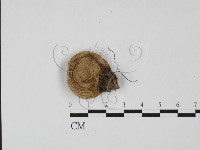 登錄號:F0027673藏品圖，第1張