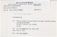 登錄號:F0027673藏品圖，第3張