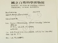 登錄號:F0027675藏品圖，第2張
