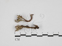 登錄號:F0027675藏品圖，第1張