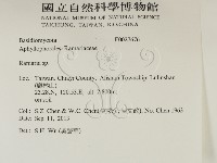 登錄號:F0027676藏品圖，第2張