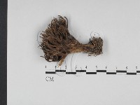 登錄號:F0027676藏品圖，第1張