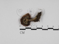 登錄號:F0027677藏品圖，第3張