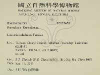 登錄號:F0027678藏品圖，第2張