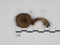 登錄號:F0027678藏品圖，第1張