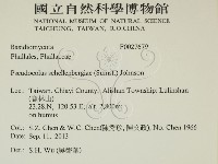 登錄號:F0027679藏品圖，第2張