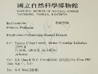 登錄號:F0027680藏品圖，第2張
