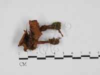登錄號:F0027681藏品圖，第1張