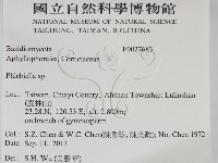 登錄號:F0027683藏品圖，第2張