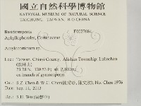 登錄號:F0027684藏品圖，第2張