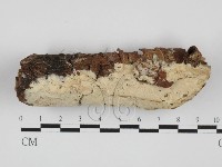 登錄號:F0027684藏品圖，第1張