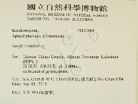 登錄號:F0027686藏品圖，第2張