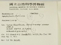 登錄號:F0027688藏品圖，第2張