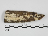 登錄號:F0027688藏品圖，第1張
