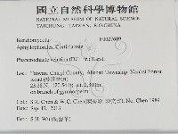 登錄號:F0027689藏品圖，第2張