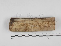 登錄號:F0027689藏品圖，第1張