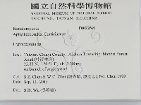 絲齒菌屬藏品圖，第2張
