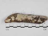 登錄號:F0027692藏品圖，第1張